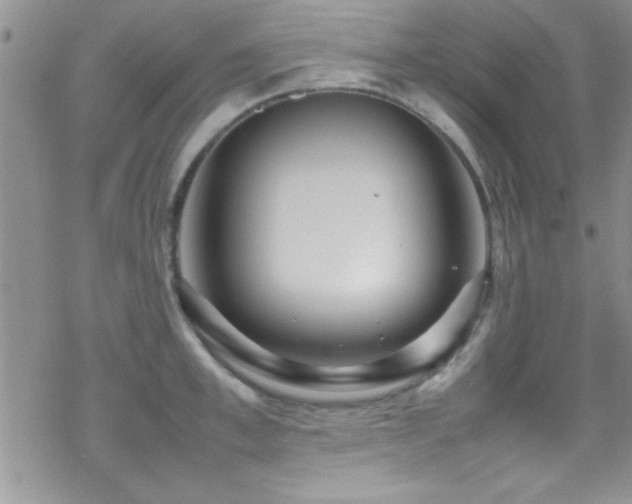 X0000070410997200606091147