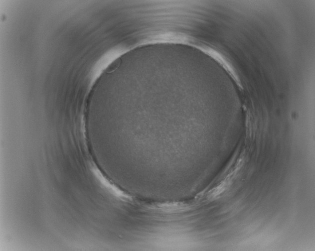 X0000070410998200606091147