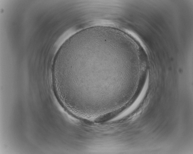 X0000070410999200606091146