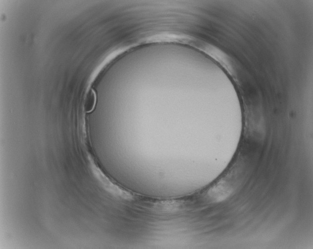 X0000070411000200606091146