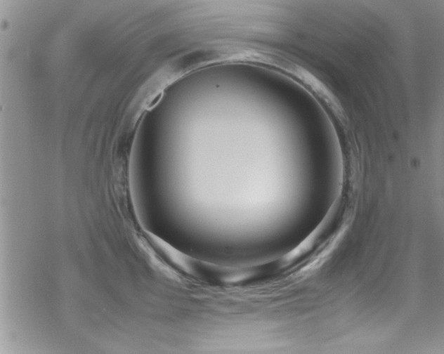 X0000070411001200606091146