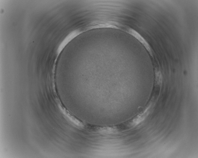 X0000070411002200606091146