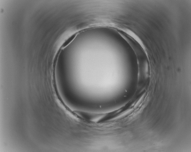 X0000070411005200606091146