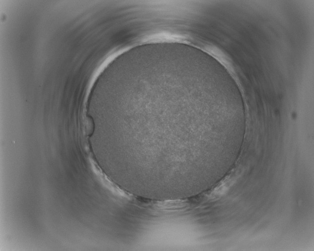 X0000070411008200606091146