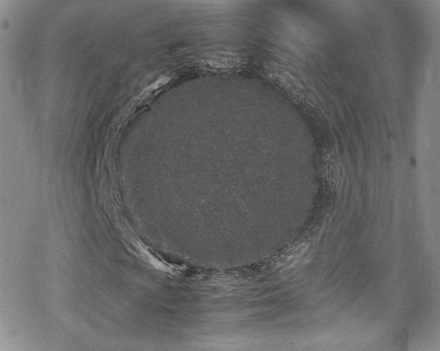 X0000070411009200606091146