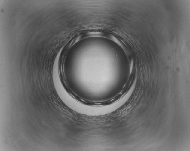 X0000070411010200606091146