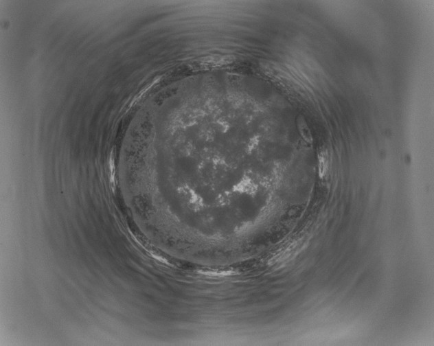 X0000070411011200606091146