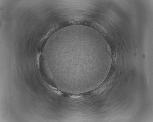 X0000070411012200606091146