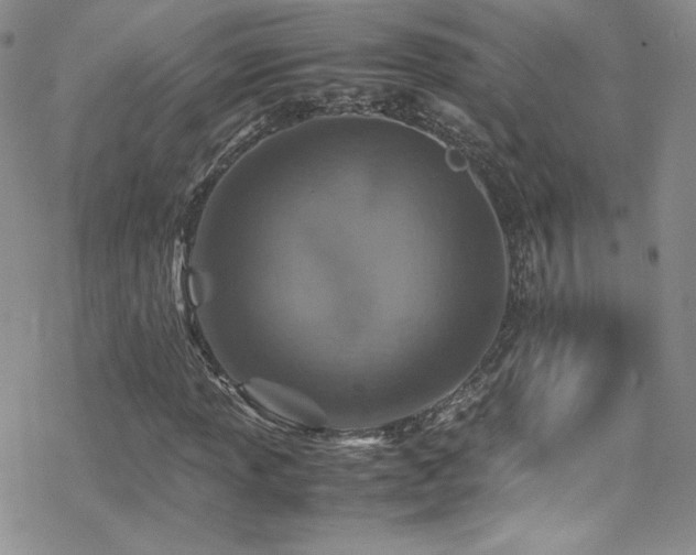 X0000070411013200606091146