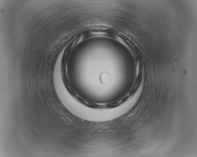 X0000070411014200606091146