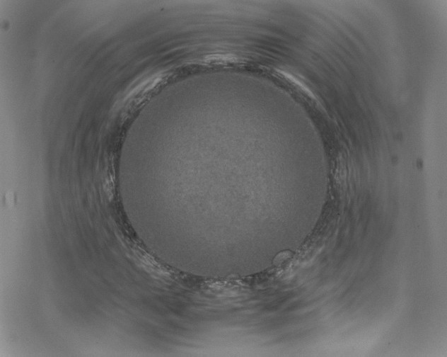 X0000070411015200606091146