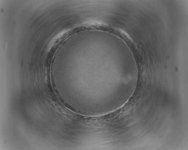 X0000070411016200606091146