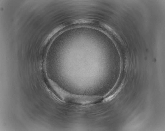 X0000070411017200606091146