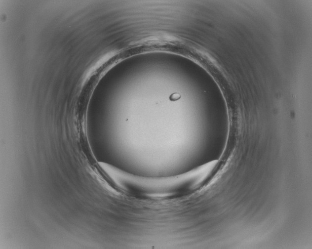 X0000070411018200606091146