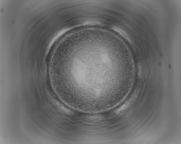 X0000070411021200606091146