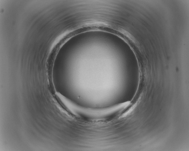 X0000070411022200606091146