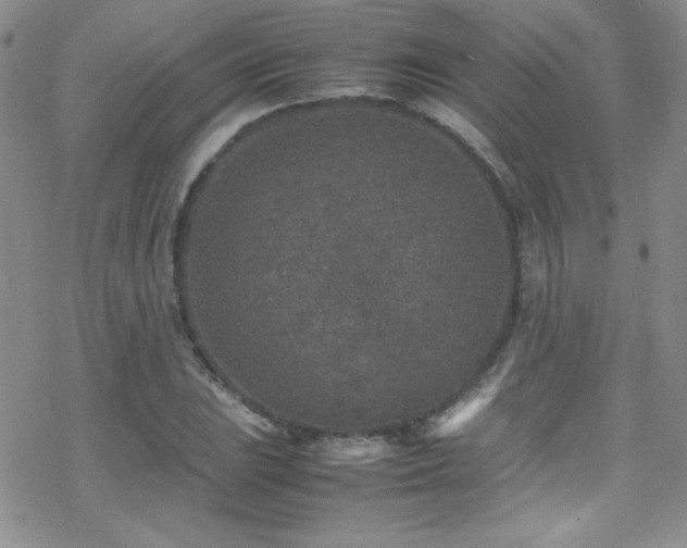 X0000070411023200606091146