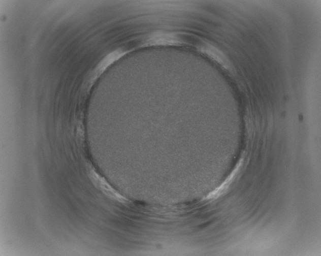 X0000070411025200606091146