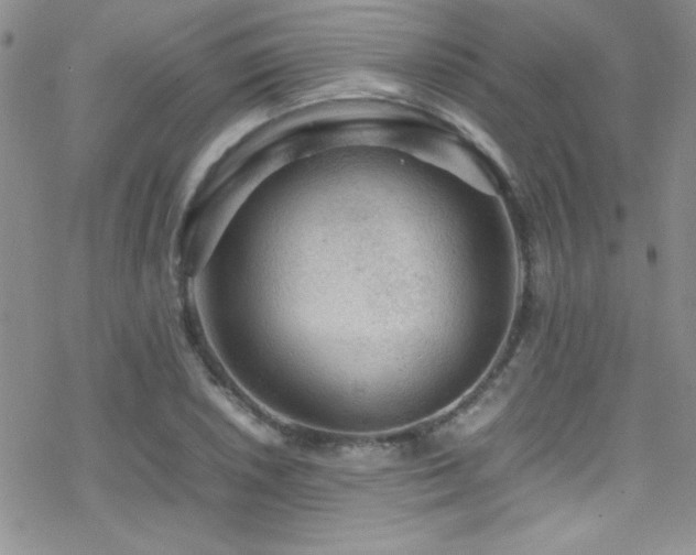 X0000070411026200606091146