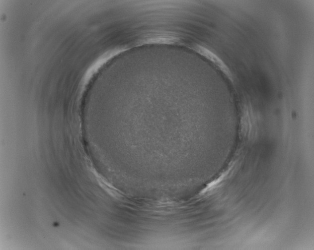 X0000070411027200606091146