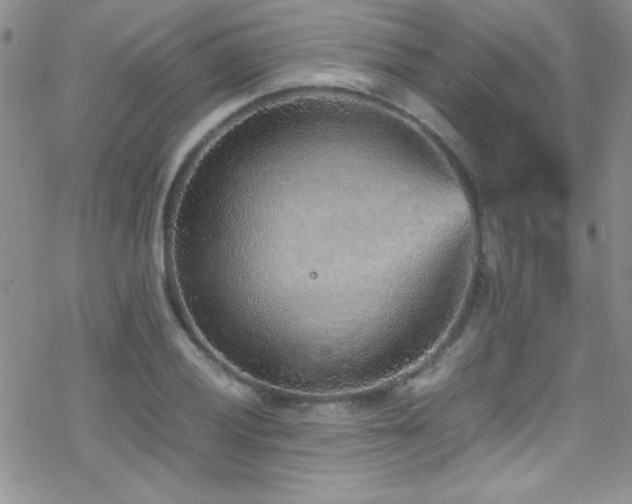 X0000070411028200606091146