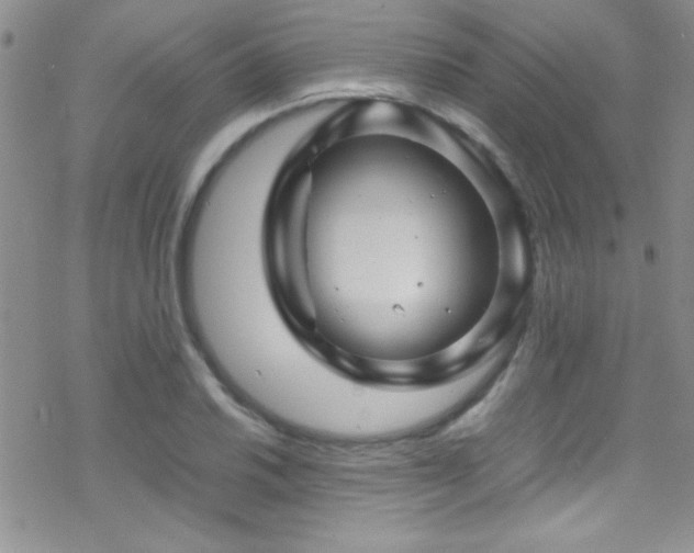 X0000070411030200606091146