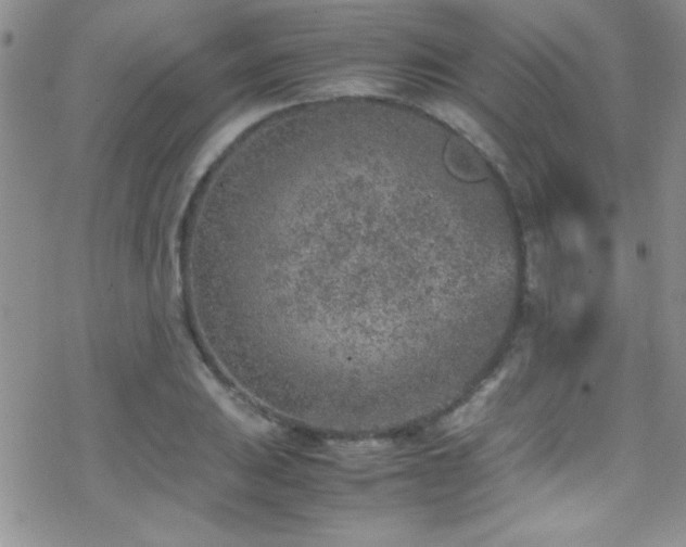 X0000070411031200606091146