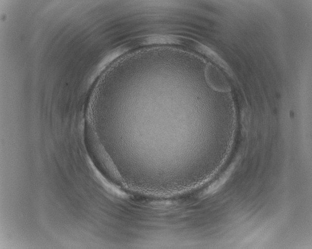 X0000070411033200606091146