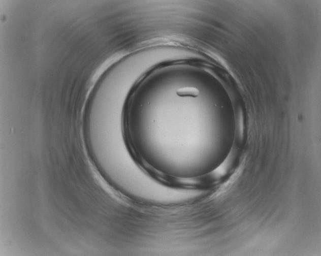 X0000070411034200606091146