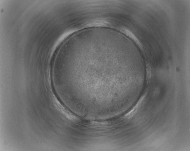 X0000070411035200606091146