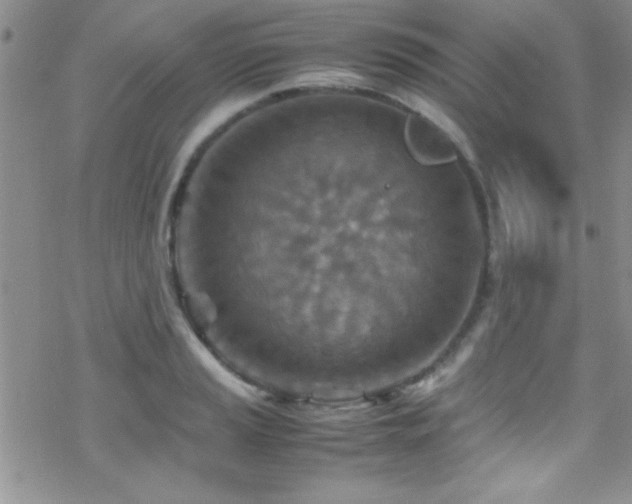 X0000070411037200606091146