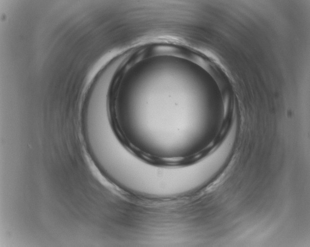 X0000070411038200606091146