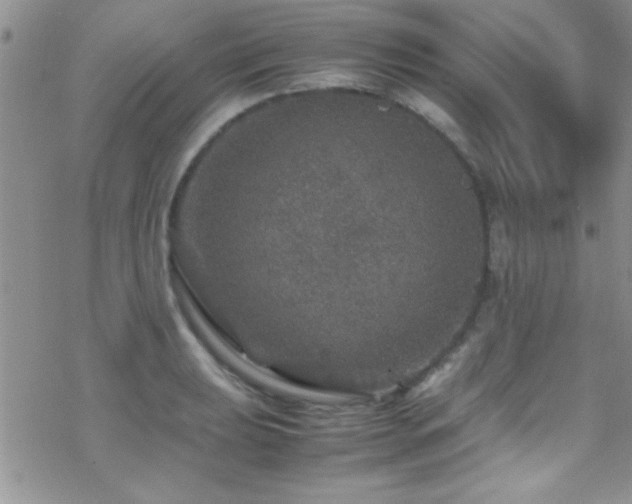 X0000070411039200606091146