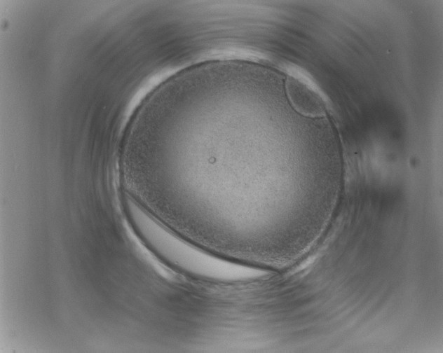 X0000070411040200606091146