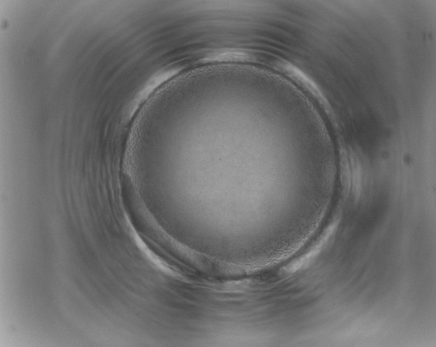 X0000070411041200606091146