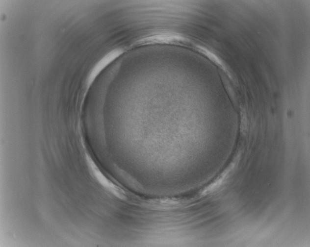 X0000070411042200606091146