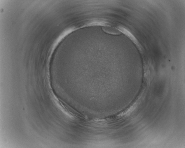 X0000070411043200606091146