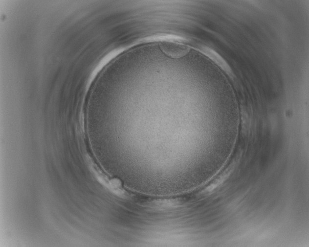 X0000070411044200606091146