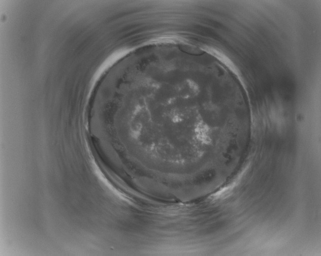 X0000070411045200606091146