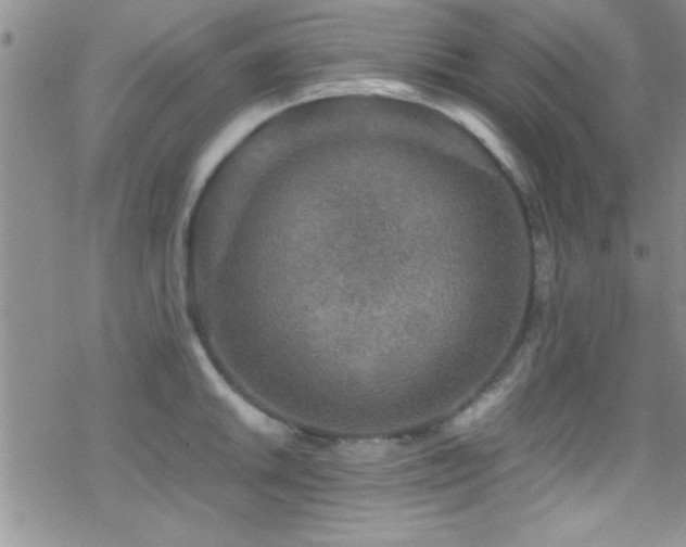 X0000070411046200606091146