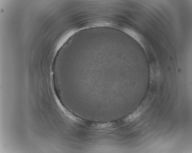 X0000070411047200606091146