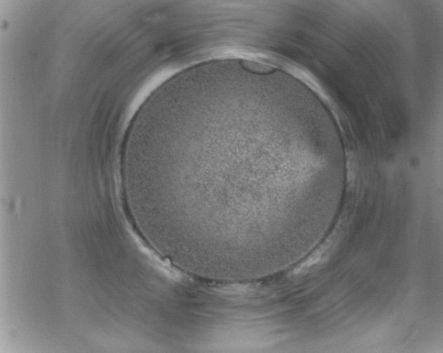 X0000070411048200606091146