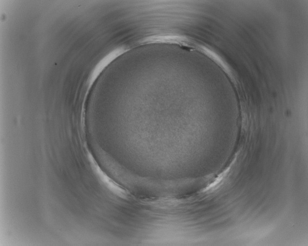 X0000070411050200606091146