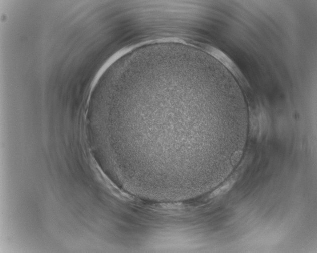 X0000070411052200606091146