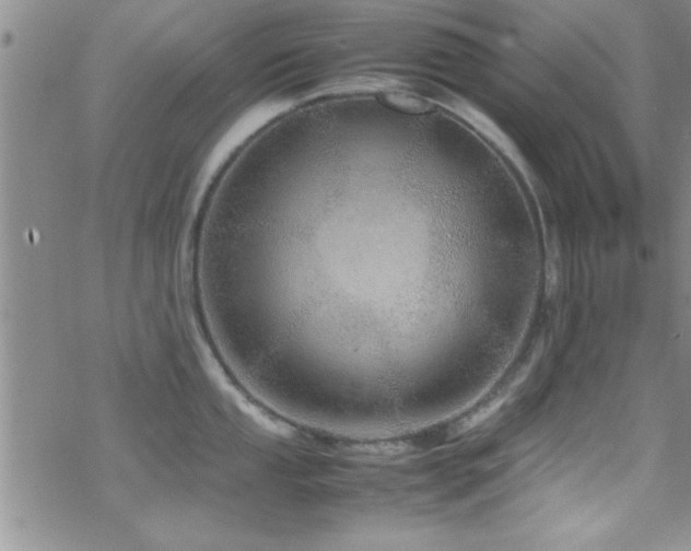 X0000070411053200606091146