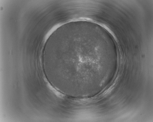 X0000070411054200606091146