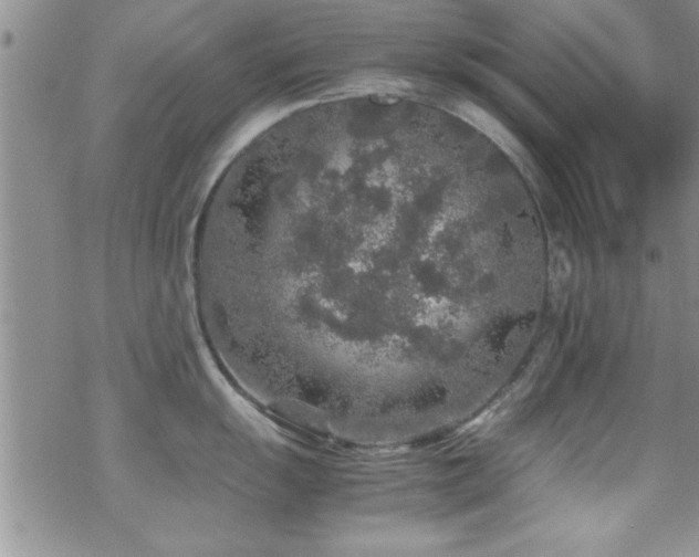 X0000070411055200606091146