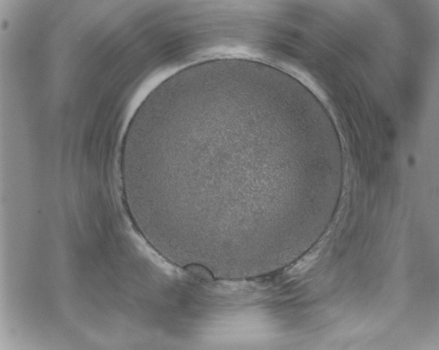 X0000070411056200606091146