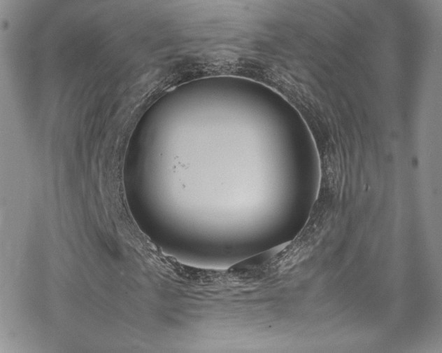 X0000070411057200606091146