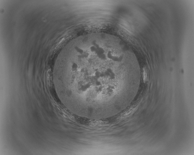 X0000070411059200606091146